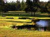4th-hole